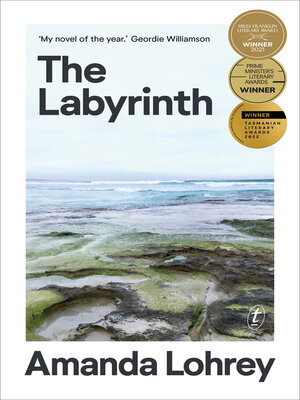 cover image of The Labyrinth: Winner of the 2021 Miles Franklin Literary Award